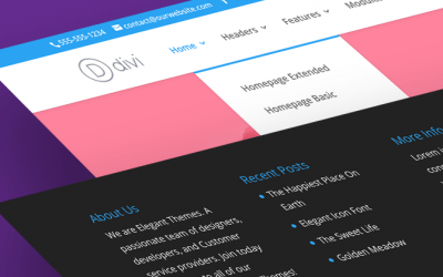 Can you recognize a website built with Divi?