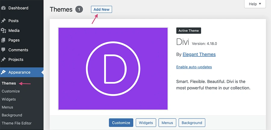 Introduction – Divi Project Documentation Repository