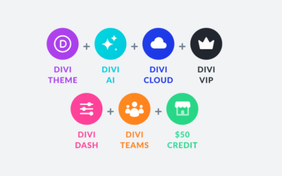 My Plan for Optimizing Divi Subscriptions This Black Friday